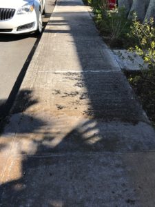 pressure washing lake worth